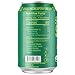 Fresh Fizz Sodas Organic Soda - All Natural Soda Sweetened With Honey, Flavors Include Sparkling Juices and Soda Pops Like Cola and Ginger Ale - No Stevia Aftertaste, Made With Real Food Ingredients. Great For Paleo And SCD Diets (4-pack, Sparkling Jalapeño Limeade)
