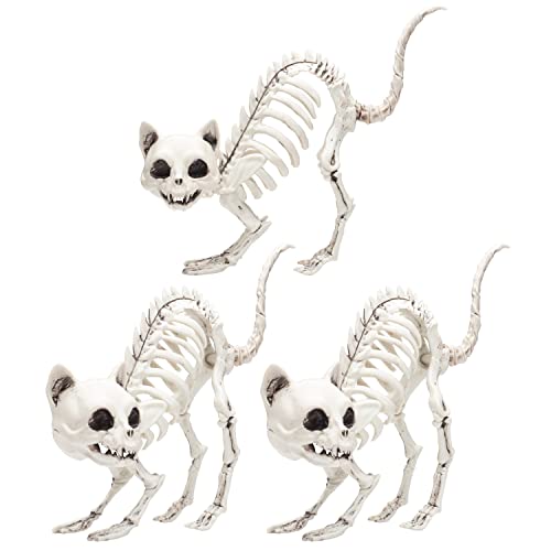 SCS Direct Kitten Skeleton Halloween Decoration (3 Pack)-7.5 Long-Weather Resistant - Upgrade Your Fall Graveyard Haunted House Party Props Trick-or-Treat Decor School Classroom