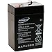 Powery Batterie au Plomb-Gel pour fauteuils roulants électriques 6V 6Ah (remplace également 4Ah, 4,5Ah), 6V, Lead-Acid [ Batterie au Plomb ]