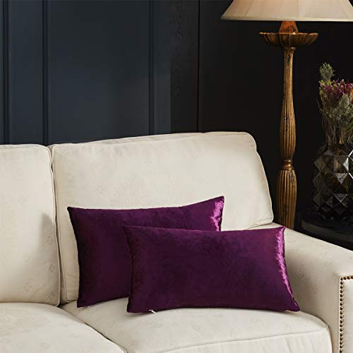 Gigizaza Violet Velours Coussin Couvre Cas, Confortable Luxueux Velours ， Le Meilleur Carré Décoratif Couvre d'oreiller Sofa de Divan de lit de Canapé 30x50CM Ensemble de Deux