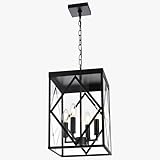 Wanluce 4-Light Outdoor Pendant Light Fixtures Large 15.7'' Black Outdoor Chandelier Metal Cage Exterior Hanging Porch Light w/Glass Shade, Outdoor Pendant Lantern Lamp for Front Porch Balcony Foyer