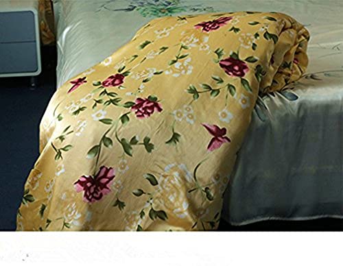 Maxfeel Silk 1pc Silk Duvet Cover, Quilt Cover, Comforter Cover, 100% 16.5mm Print Mulberry Silk,Charmuse Silk, Queen Cal.King Full King Twin Size #12 (Twin)