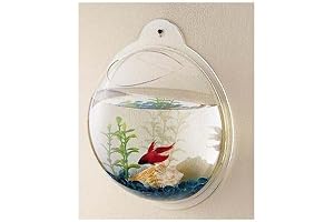 CNZ Wall Mounted Acrylic Fish Bowl, 11.5-inches