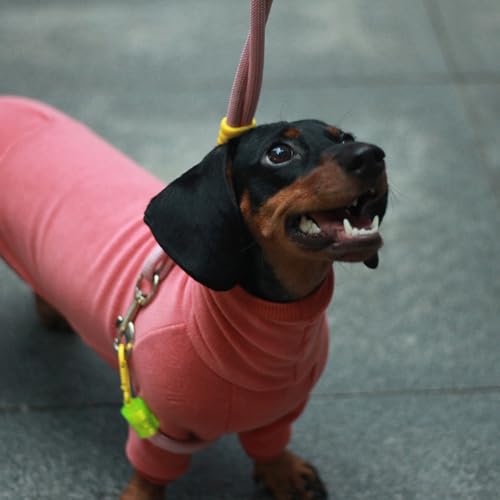 Rollkragenpullover für Dackel-Hunde – Warme Winterkleidung für Dackel, Winteroutfit für Teckel (Rot, M)