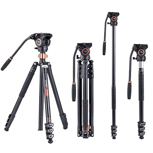 Trépied à tête Fluide, trépied de caméra vidéo Cayer FP2450H4 Monopode en Alliage d'aluminium 75 Pouces pour Appareil Photo Reflex numérique Canon Nikon Sony