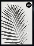 pf+a Perspex Window Black A2 Frame - A2 Poster Frame / A2 (59.4x42cm) Frame Portrait and Landscape Display