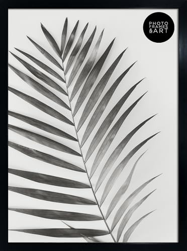 pf+a Perspex Premium A2 Black Picture Poster Frame Portrait & Landscape