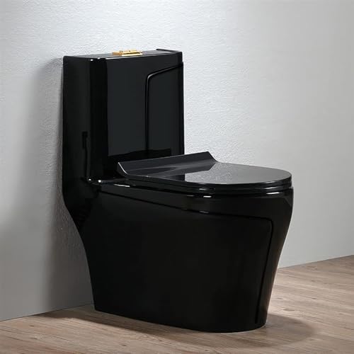 CHIPEL Black Smart Toilet Mute Bidet Toilet Comfort Height Elongated One Piece Intelligent Toilet Super Siphonic Toilet(A), 690x390x740mm