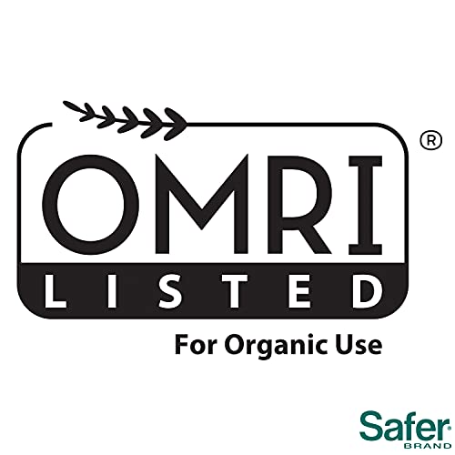 Safer Brand 51703 Omri Listed Diatomaceous Earth - Ant, Roach, Bedbug, Flea, Silverfish, Earwig, & Crawling Insect Killer #TOP4