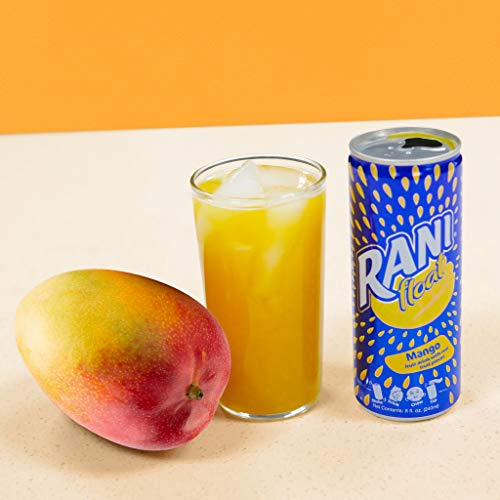 Rani Float Mango Fruit Juice Drink, 100% Fruit Juice Content With Real Mango Chunks, Imported From Dubai, No Added Sugar, No Artificial Colors, 8Oz (Pack Of 24) #TOP3