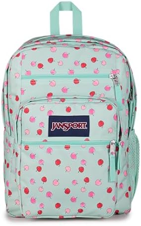 JanSport Laptop Backpack - Computer Bag with 2 Compartments, Ergo...