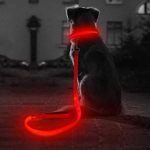 BSEEN Led Dog Safety Collar Leash, USB Rechargeable Flash Glow Dog Necklace Leash, Great Visibility&Improved Safety for Your Dogs (Leash-120CM, Red)