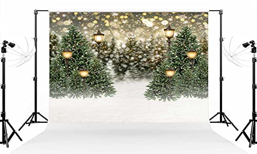Toile fond pliable Kate résout vos décors Noël 2,4m