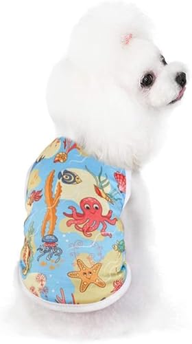 SUNCN ybgAATVcApW}AxXgAʋCAbVAX|[cEFAAAE^[EFAAt@bVAUAOo u[2 S