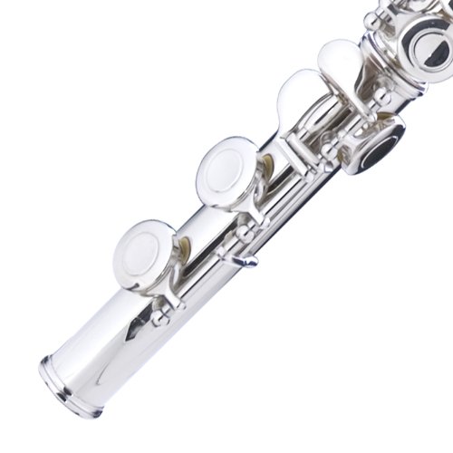 Mendini Nickel Silver Closed Hole C Flute With Tuner, Stand, 1 Year Warranty, Case, Cleaning Rod, Cloth, Joint Grease, And Gloves - Mfe-N+Sd+Pb+92D #TOP5
