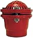 Dixon DFVS30 2-1/2" Cast Iron Painted Foot Valve Complete Threaded Assembly, 2.5" ID, Painted Cast Iron