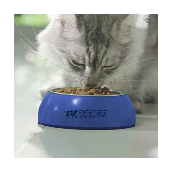 Purina ONE Katzenfutter für Erwachsene – Bild 5