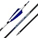 12pc 29-Inch Spine-350 Arrow Removable Tips Targeting Hunting Arrow 4 Inch Turkey Feather Fletching Feathered Carbon Arrows for Traditional Bow Long-Bow Compound Bow Recurve Bow Adult Youth Archery