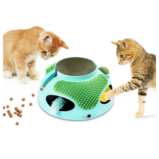 Interactive 5-in-1 Cat Toy Set