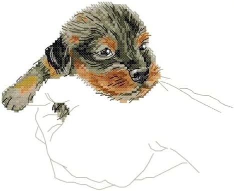 Simply Cross Stitch Puppy Back & Cross Stitch Kit : in Hand Collection, Counted Cross Stitch Kit, 17 DMC Coloured Thread