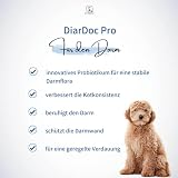 DiarDoc Pro von Dr. Hölter Probiotikum für Hunde. Zur Stabilisierung der physiologischen Verdauung. Präbiotika gegen Verdauungsprobleme, unterstützt das Immunsystem (90 Kapseln)