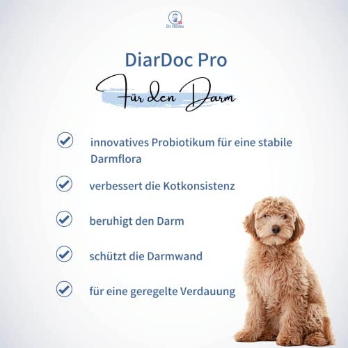 DiarDoc Pro von Dr. Hölter Probiotikum für Hunde. Zur Stabilisierung der physiologischen Verdauung. Präbiotika gegen Verdauungsprobleme, unterstützt das Immunsystem (90 Kapseln)
