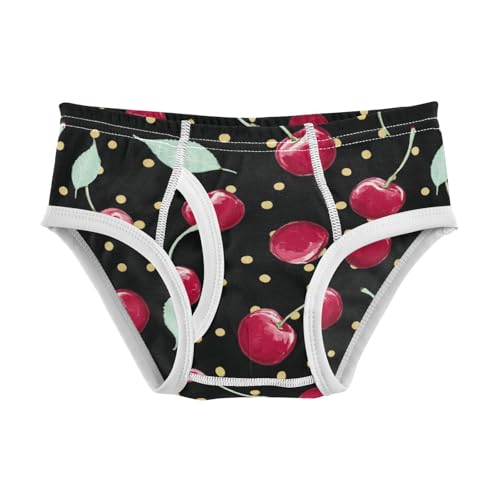 Wusikd Cherries Polka Dots Boys' Underwear Cotton Boys Briefs Soft Toddler Underwear 2T