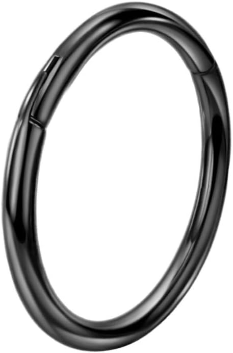 FANSING G23 Titanium Hinged Piercing Rings Hoop - Image 3