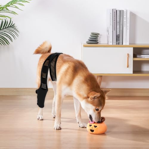 HYTROVE Hundebeinstütze Aus Neopren Elastischer Beinschutz Für Vorder- Und Hinterbeine Atmungsaktiv Gelenkschutz Und Knochenschutz Für Hunde Nach Operation 13.39X11.42X0.79In Schwarz XL