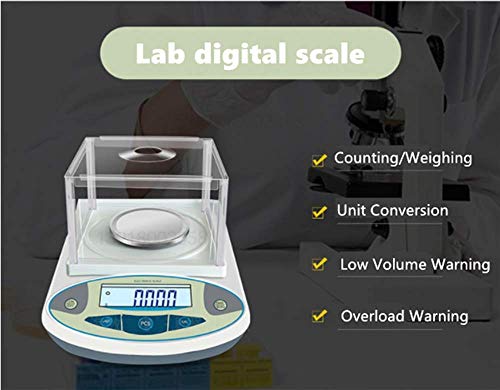Hochpräzise Digitale Analysenwaage 1 mg Präzisions-Elektronikwaage Schmuckwaage Küchenpräzisionswaage Elektronisch kalibriert (300 g, 0,001 g)