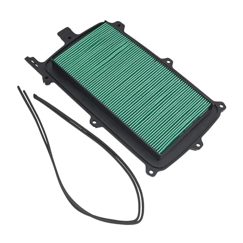 Filtro limpiador de motocicleta Talon 1000X 1000R 17215-HL6-A00
