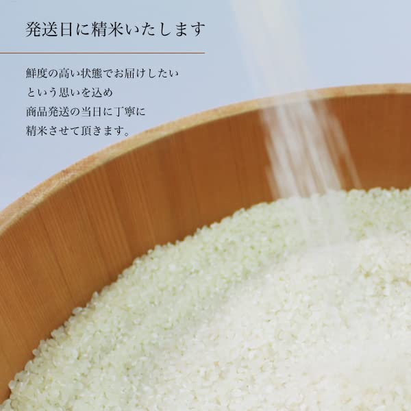 Amazon.co.jp: 米 白米 蛇紋岩米 2025年産(令和7年産) 淨慶米穀
