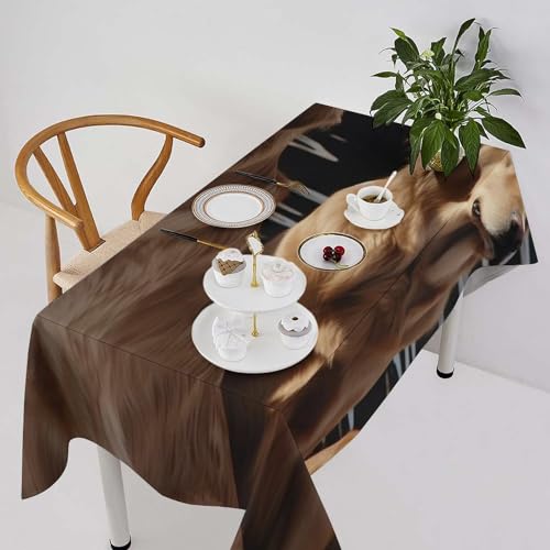 Nappe rectangulaire Golden retrievers résistante aux taches pour repas