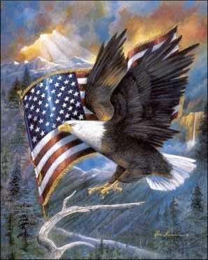 American Pride - Eagle and Flag - Paper Tole 3D Decoupage Craft Kit Size 8x10 inches 18988 (The Additional Pictures Show Examples of This Craft Kit Assembled and Framed in a Shadow Box Frame)