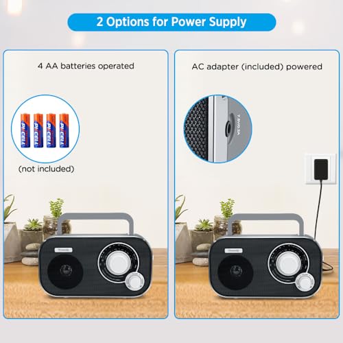 Dreamsky DS216 Am Fm Portable Radio Plug In Wall Or Battery Operated thumb #1