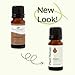 Plant Therapy Allspice Essential Oil 10 mL (1/3 oz) 100% Pure, Undiluted, Warm Aromatherapy, Soothing Muscle Relief, Digestive Support