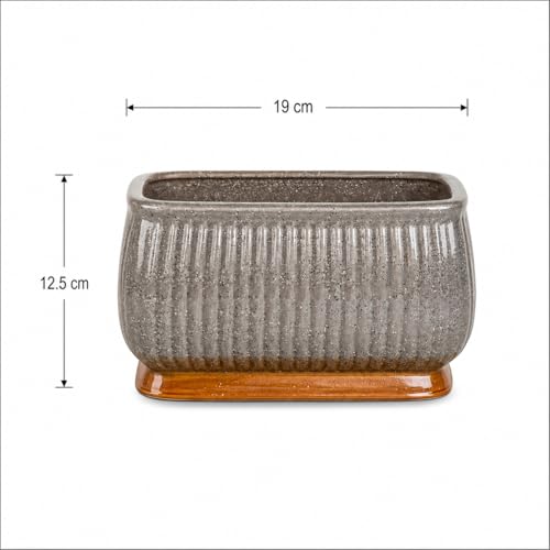 Image of Xtore Striking Textured Ceramic Bonsai Planter Pot for Indoor & Tabletop Decor | Ribbed Grey Finish with Elevated Modern Plant Styling (Pack of 1, Planter Only)