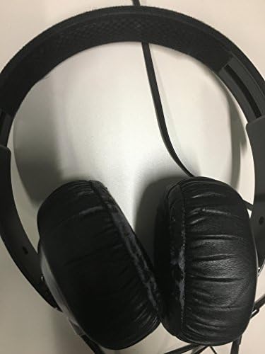 Sony MDR-XB500 Extra Bass Headphones - 40mm Driver, EarSurround, King Sized  Ear Cushion at TigerDirect.com