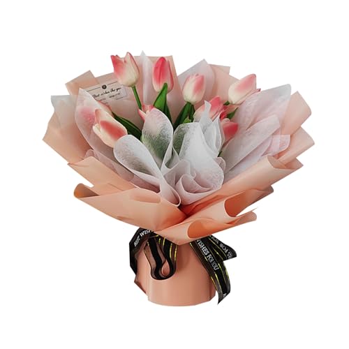 MAIBED `[bv  \[vt[ Mtg Ό  ͂Ȃ ins  o^Cf[ zCgf[ a ̓ v[g (D)