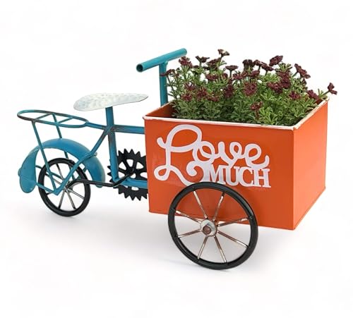 DanDiBo Bicicletta per fiori da giardino, in metallo, colore blu, arancione, 96530