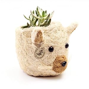 LIKHA Adorable Animal Head Planter – Handmade Eco-Friendly Planter for Indoor Plants – Unique Coco Coir Mini Animal Planter – Ideal for Succulents, Cacti, Indoor Plants – (Cat, 2.5 in)