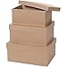 Darice Paper-Mache Rectangle Box Set, 8/9/10-Inch, 3-Pack
