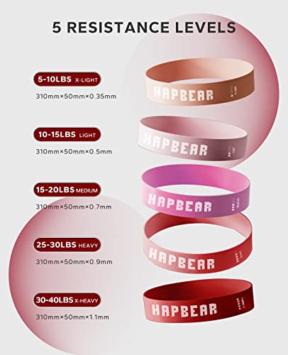 Hapbear Resistance Bands Set, Exercise Workout Bands With 5 Resistance Levels, Elastic Loop Strength Fitness Bands For Strength, Physical Therapy, Red Stretch Bands For Home Gym, Carry Bag Included #TOP1