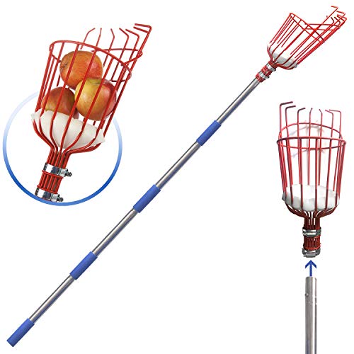 DIIG Fruit Picker, 10 Foot Fruit Picker Tool with Stainless Steel Connecting Pole, Fruit Picking Equipment for Getting Fruits Lemons Apples Guavas Avocados Pears Mangoes Oranges Citrus