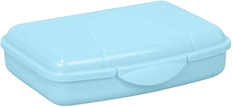 Lunch Box 0.5 L Light Turquoise - BPA-Free Plastic Lunch Box, Food Safe and Dishwasher Safe, Made in Germany - Lunch Box for Children and Adults, Rectangular