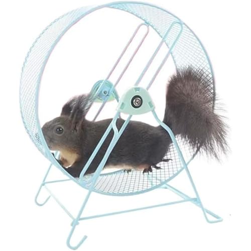 ハムスター 回し車 ムーンライト ホイール サイレントホイールペットトレッドミルハムスターランニングスピナーエクササイズホイールペットジョギングエクササイズ玩具フラット走りやすい置き型 デグー ハリネズミ チンチラ 小動物に対応 (ブルー,32cm)