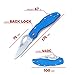 Firebird GANZO F759M Pocket Folding Knife 440C Stainless Steel Blade Anti-Slip Handle with Clip Fishing Camping EDC Utility Pocket Knife (Blue)