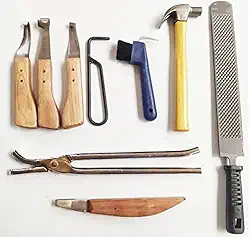 Combo Casqueamento Profissional Ferrageamento Para Cavalo