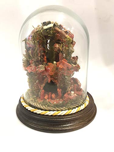  Euro Glass Angelo Presepe in Corallo in Campana di Vetro Misura 11x16