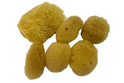 Soft Natural 6 Silk Sponges 1.5-3 Cosmetic Makeup Application Removal Face Eye Nail Cleaning Like Cotton Balls Awesome Aquatic Creating The Perfect Home Bath & Shower Experience
